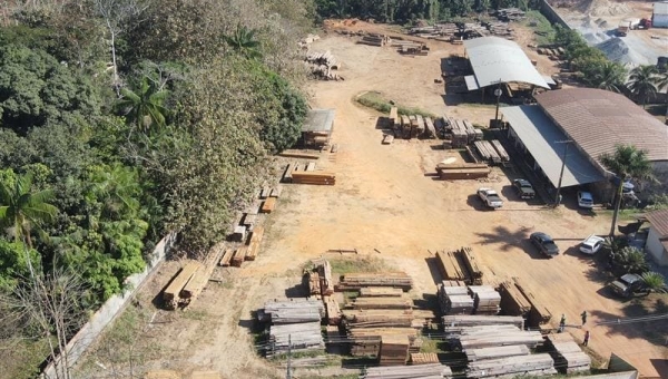 Operação do Ibama no Acre constata irregularidade na execução de planos de manejo florestal em desacordo com licenças ambientais